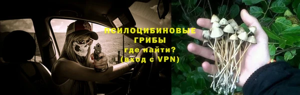 2c-b Ельня