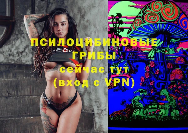 сатива Рославль