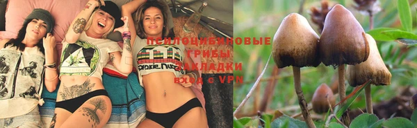 тгк Протвино